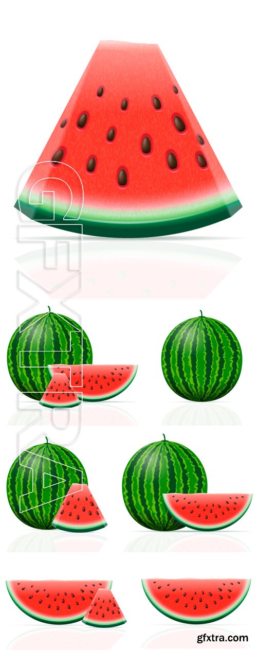 Stock Vectors - Watermelon ripe juicy vector illustration isolated on white background