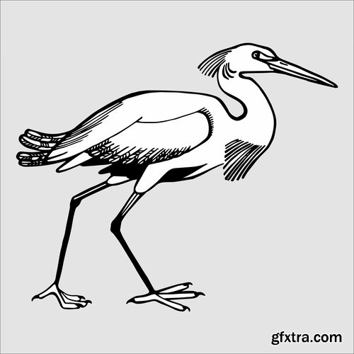 Collection of vector picture stork brings the baby flying bird 25 Eps