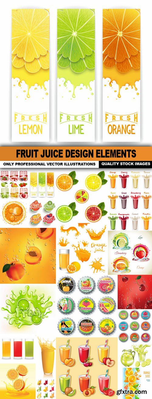 Fruit Juice Design Elements - 20 Vector