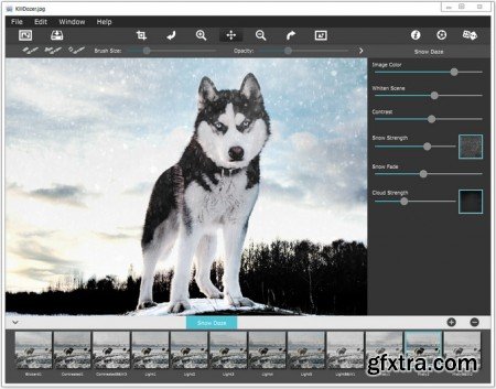 JixiPix Snow Daze v1.21 Portable