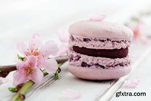 French Macaroons in Pink, Turquoise and White - 4x UHQ JPEG