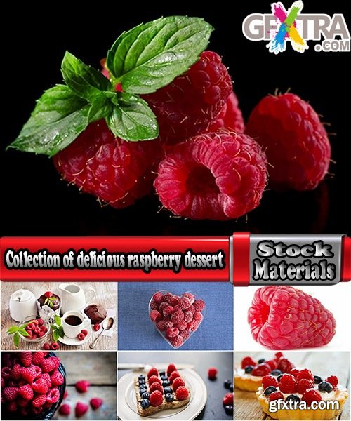 Collection of delicious raspberry dessert macro berry 25 HQ Jpeg