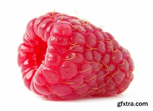 Collection of delicious raspberry dessert macro berry 25 HQ Jpeg