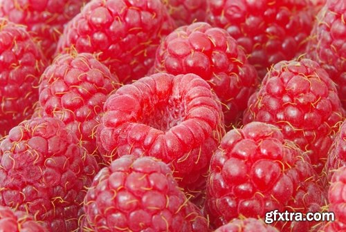 Collection of delicious raspberry dessert macro berry 25 HQ Jpeg