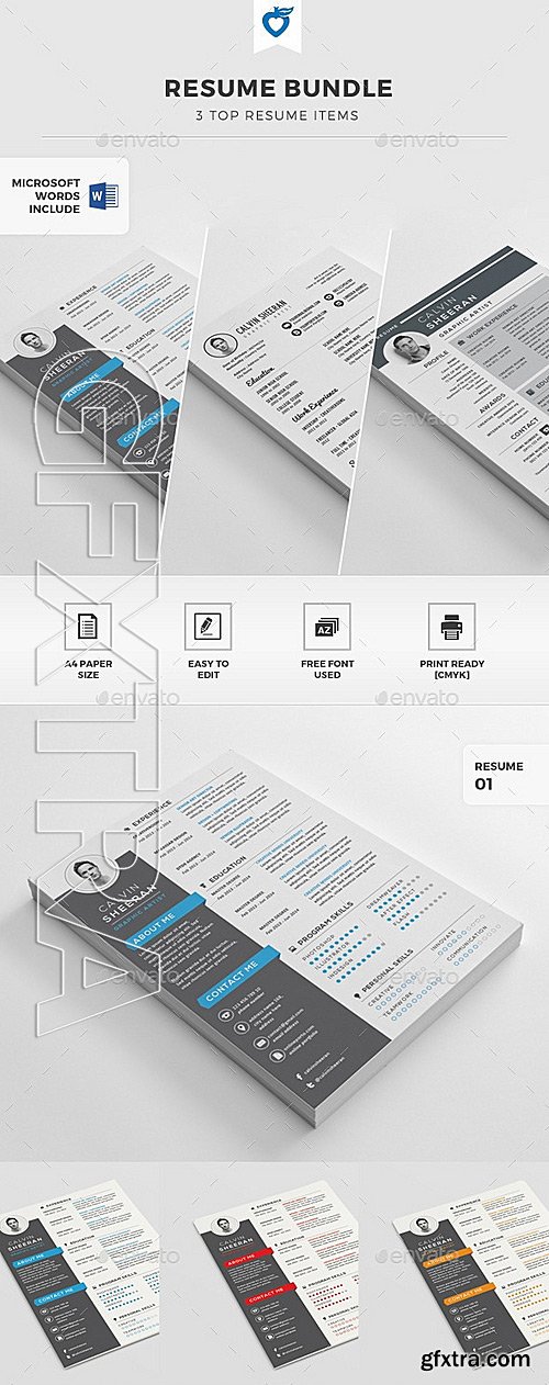 GraphicRiver - Resume Bundle 11658303