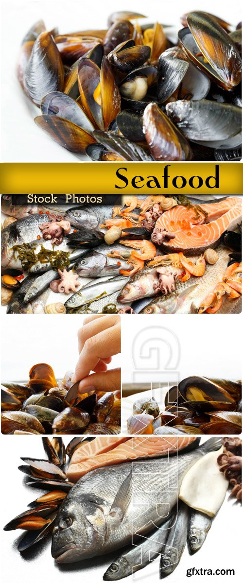 Seafood