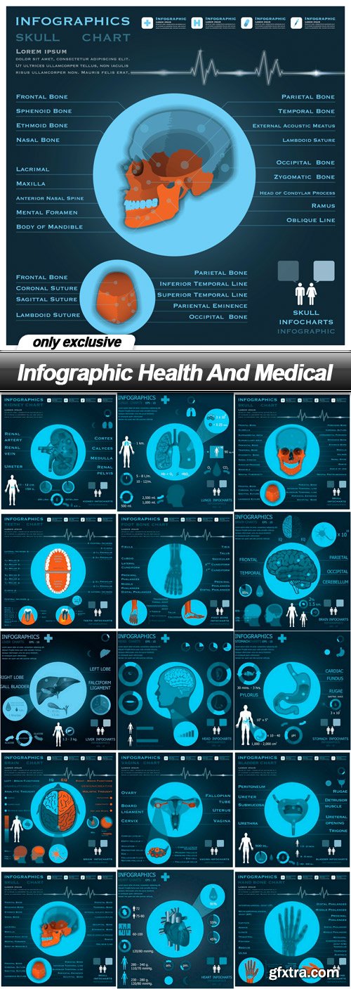 Infographic Health And Medical - 15 EPS