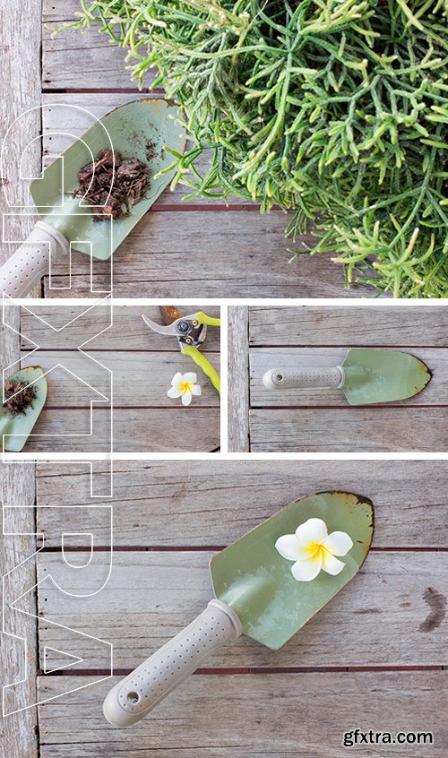 Stock Photos - Spoon shoveling and soil on wood