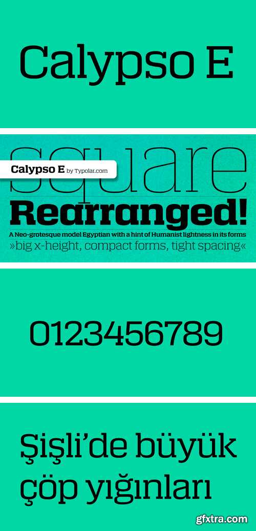 Calypso E Font Family