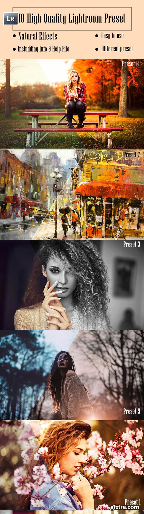 GraphicRiver - 10 Lightroom Preset - 9258863