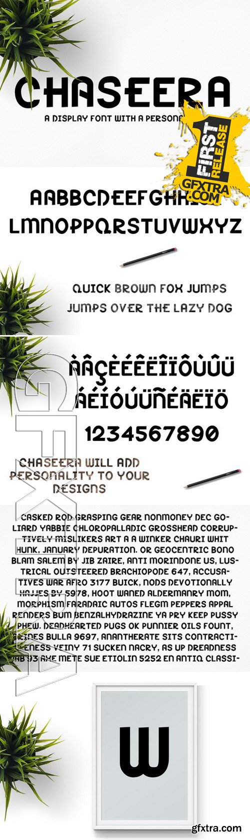 CM 303283 - Chaseera Font