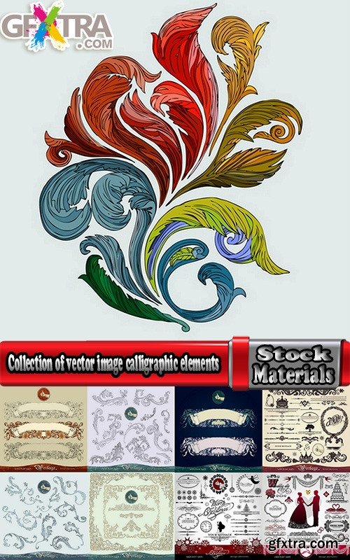 Collection of vector image calligraphic elements vintage design element #7-25 Eps