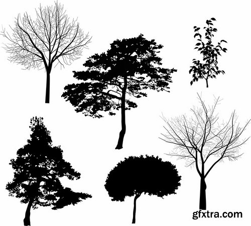 Collection of different vector picture tree root silhouette spruce bamboo 25 Eps