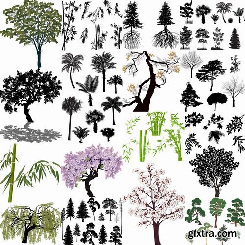 Collection of different vector picture tree root silhouette spruce bamboo 25 Eps