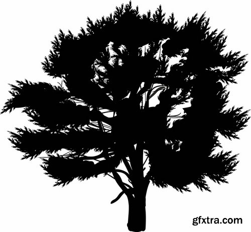 Collection of different vector picture tree root silhouette spruce bamboo 25 Eps