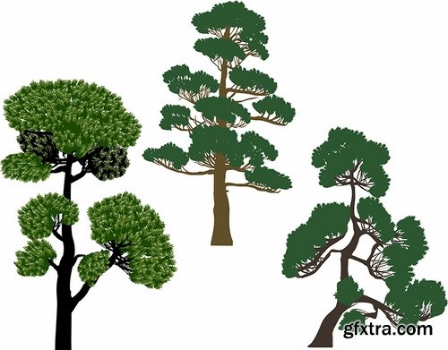 Collection of different vector picture tree root silhouette spruce bamboo 25 Eps