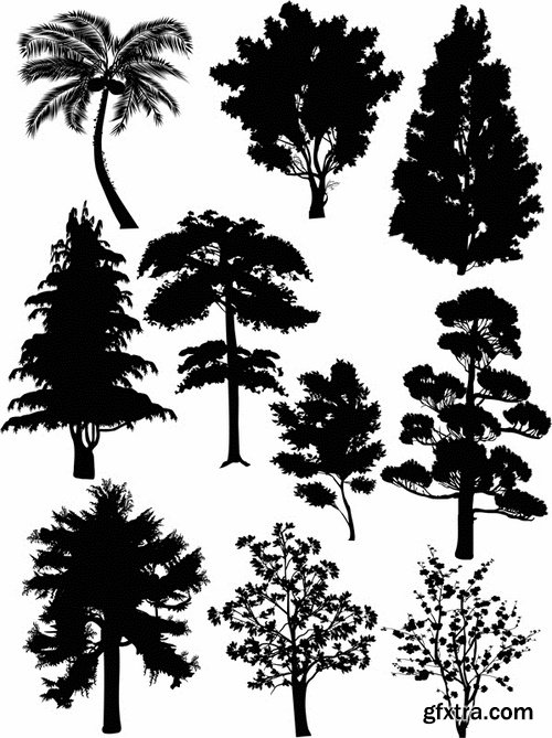 Collection of different vector picture tree root silhouette spruce bamboo 25 Eps