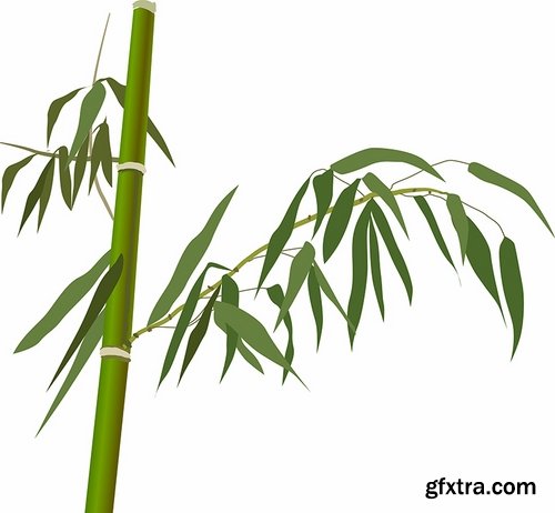 Collection of different vector picture tree root silhouette spruce bamboo 25 Eps