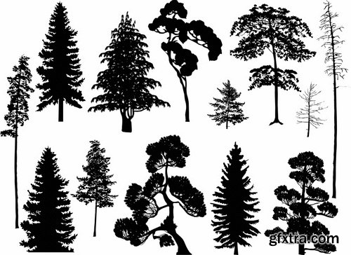 Collection of different vector picture tree root silhouette spruce bamboo 25 Eps