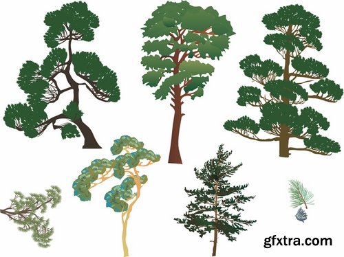 Collection of different vector picture tree root silhouette spruce bamboo 25 Eps