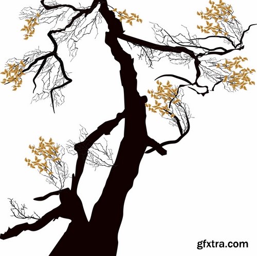 Collection of different vector picture tree root silhouette spruce bamboo 25 Eps