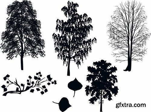 Collection of different vector picture tree root silhouette spruce bamboo 25 Eps