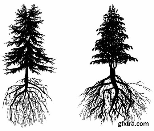 Collection of different vector picture tree root silhouette spruce bamboo 25 Eps