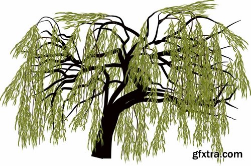 Collection of different vector picture tree root silhouette spruce bamboo 25 Eps