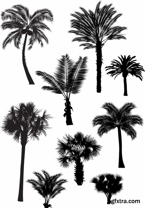 Collection of different vector picture tree root silhouette spruce bamboo 25 Eps