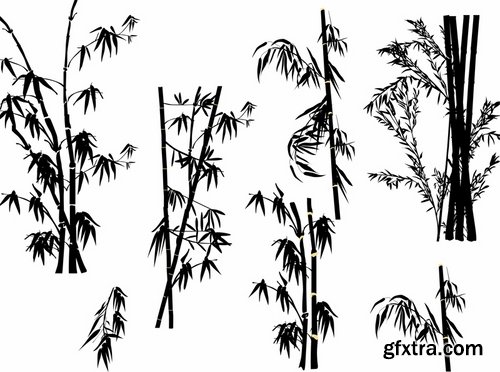 Collection of different vector picture tree root silhouette spruce bamboo 25 Eps