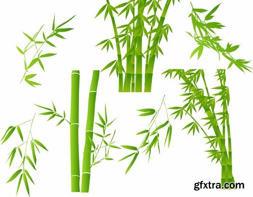 Collection of different vector picture tree root silhouette spruce bamboo 25 Eps