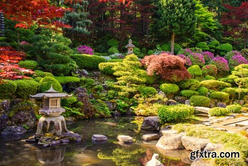 Collection of landscape design garden pond decoration 25 HQ Jpeg