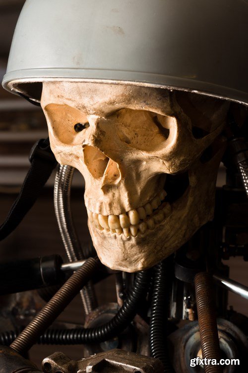 Human Skull - 5 UHQ JPEG