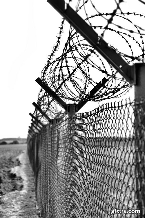 Barbed Wire - 5 UHQ JPEG