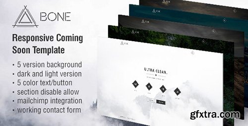 ThemeForest - BONE - Responsive Coming Soon Template - RIP - 11863957