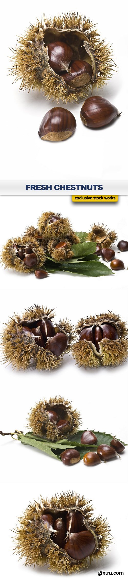 Fresh Chestnuts - 5 UHQ JPEG