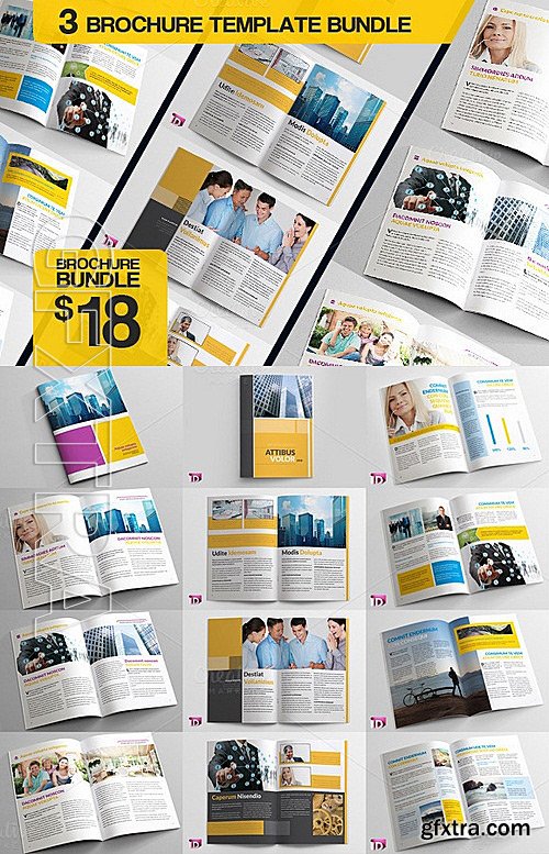 CM - Brochure Bundle-2 121799