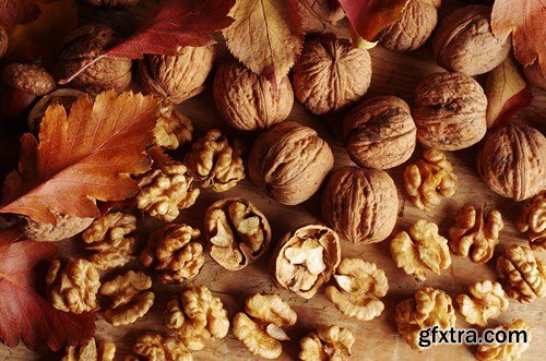 Walnuts - 13x UHQ JPEG