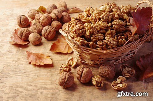 Walnuts - 13x UHQ JPEG