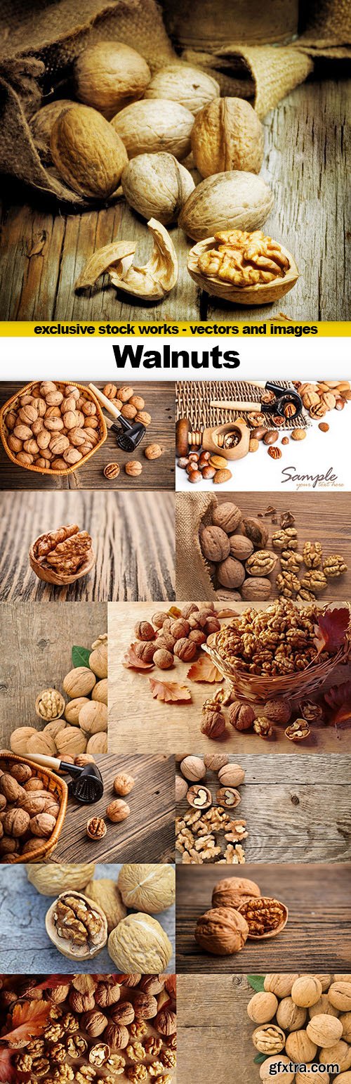 Walnuts - 13x UHQ JPEG