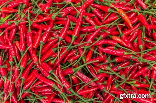 Hot Red Chili - 14x UHQ JPEG