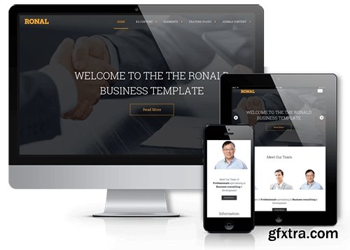 OrdaSoft - OS Ronal v1.0 - Professional Business Joomla 3.3 Template