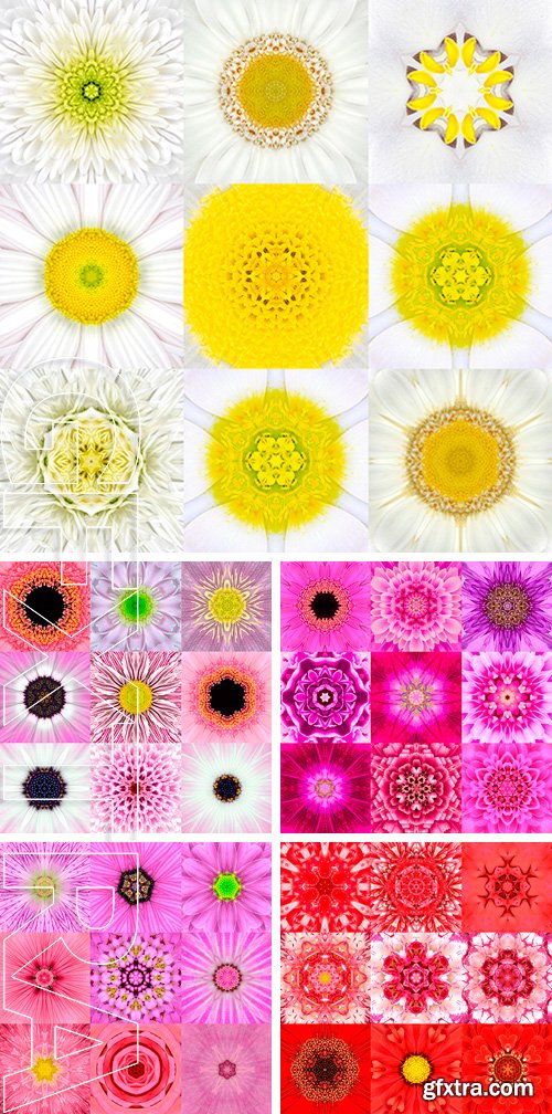 Stock Photos - Collection of Nine Concentric Flower. Kaleidoscope Concentric design. Full Flower Background
