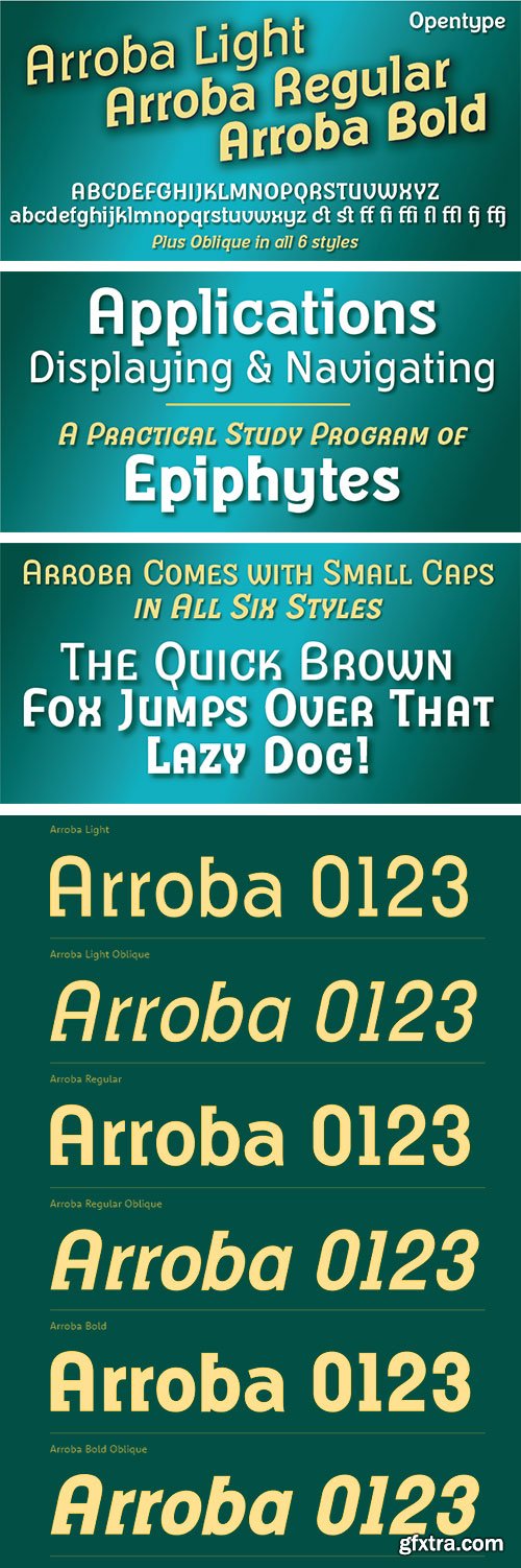 Arroba Font Family 6xOTF $200
