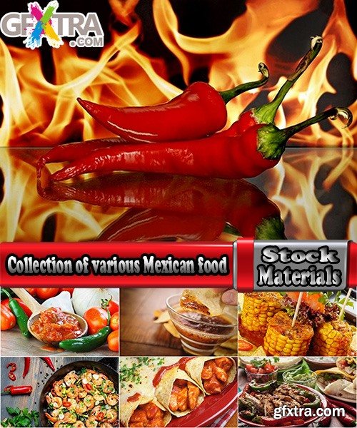 Collection of various Mexican food spicy red chili burrito 25 HQ Jpeg