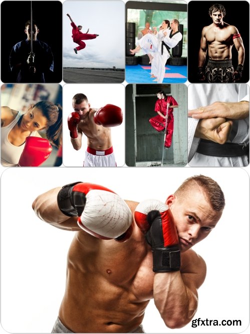 Stock Photos Sport Martial Arts Pack 5