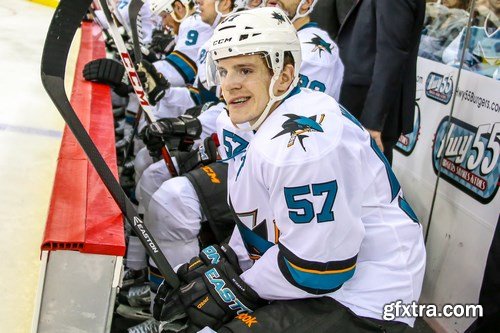 San Jose Sharks - 7 UHQ JPEG