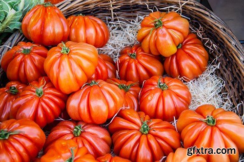 Tasty Tomatoes - 9x UHQ JPEG