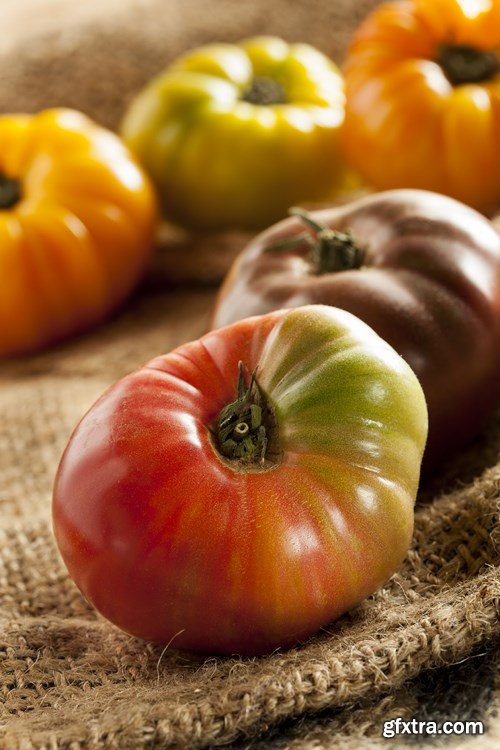 Tasty Tomatoes - 9x UHQ JPEG