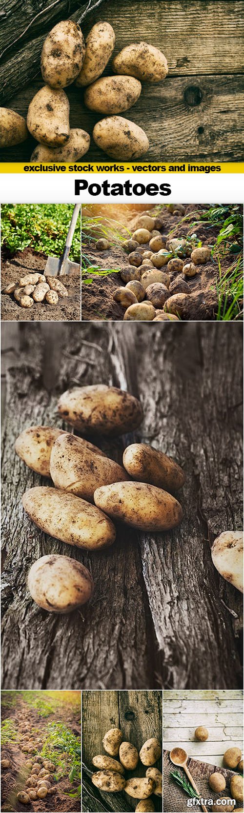 Potatoes - 7xUHQ JPEG